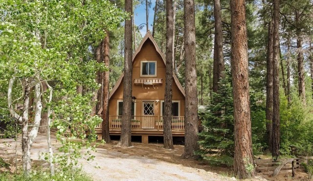 Cozy A-Frame with Fenced Yard