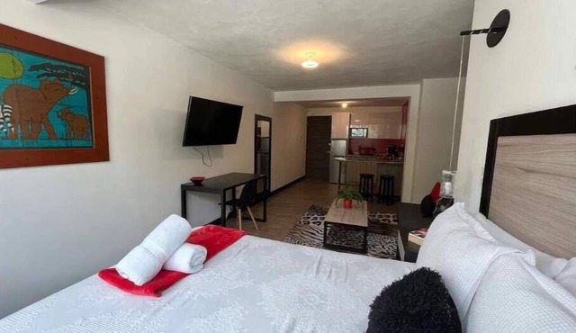 DST1 Convenient studio in zone 15