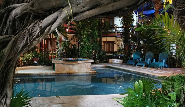 Eco-Hotel El Rey del Caribe