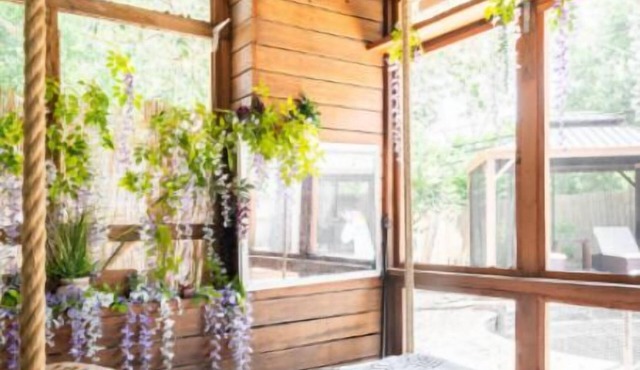 Empress Bamboo Lagoon