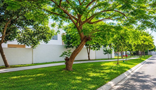 Entire House | Escobedo | North Monterrey