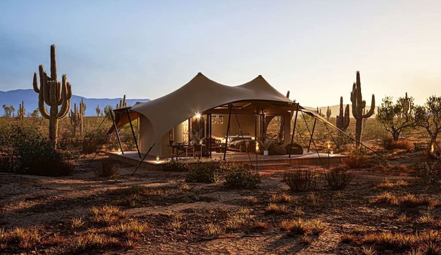 Exclusive Luxury Glamping Retreat on Historic Ranch near Saguaro National Park, Arizona