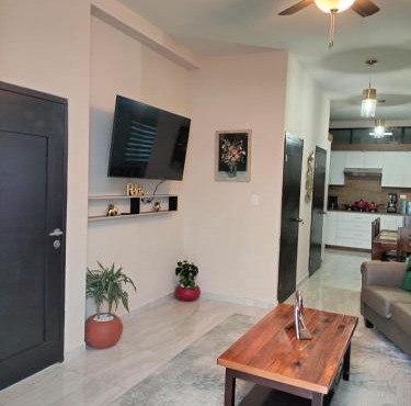 Executive Apartment