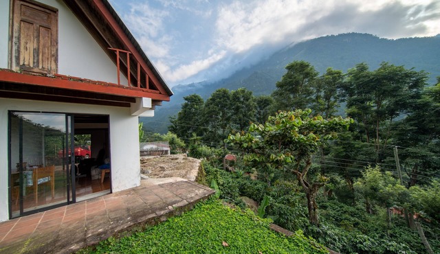 Finca la Reforma
