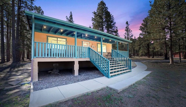 Fireplace nights, starry skies, wildlife mornings!