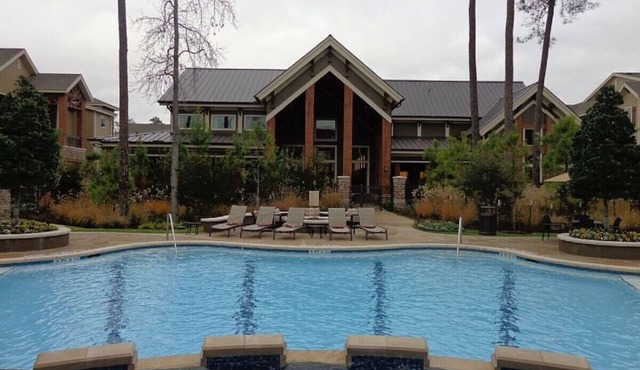 Gorgeous Pool View 1 Bedroom/1 Bath Condo in The
