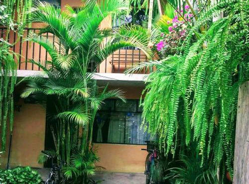 Hospedaje Eli Panajachel