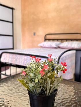 Hospedaje Jardin