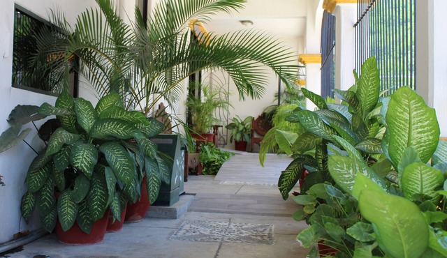 Hotel Arrecife Plus