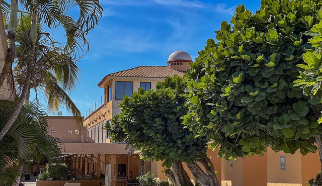 Hotel Oasis