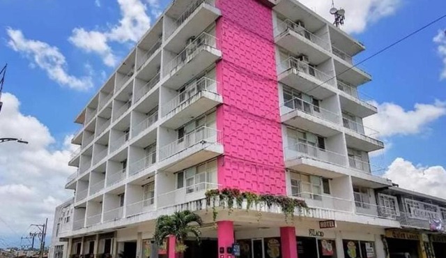 Hotel Palacio