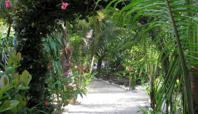 Hotel Salvador Gaviota