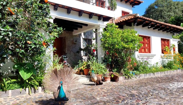 Hotel y Jardines Casa Búho