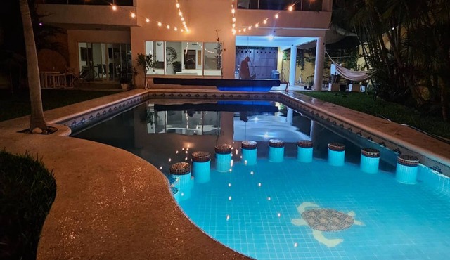 House with pool, garden and fruit trees (pet friendly)