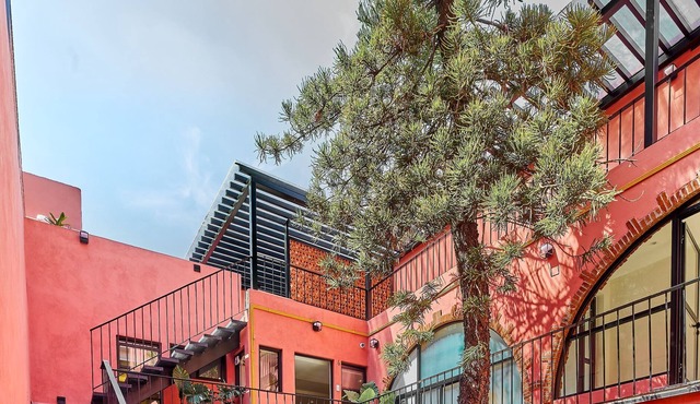 Jacarandas Coyoacan | A Haven for Productivity