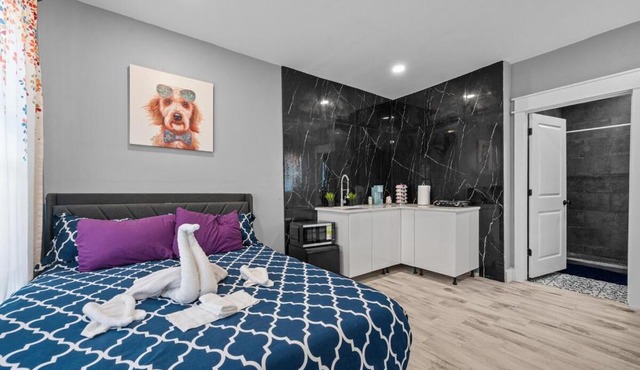 King Bed & Spacious Hideaway for One or Two