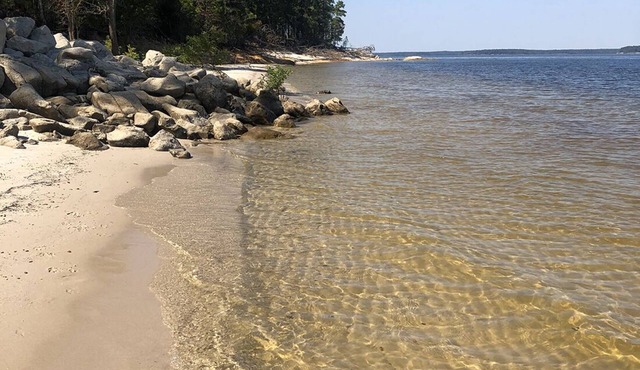 Lakeside cottage, water access + pet friendly with additional fee