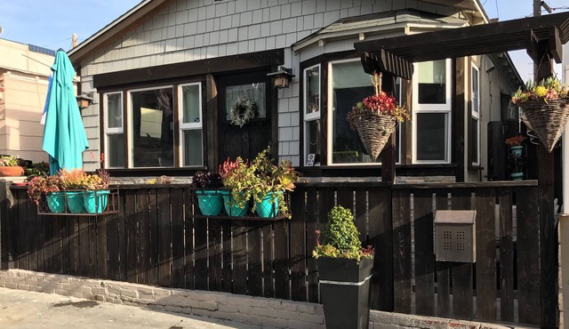 Last minute discounts!Pet friendly with AC steps to beach-SUV parking