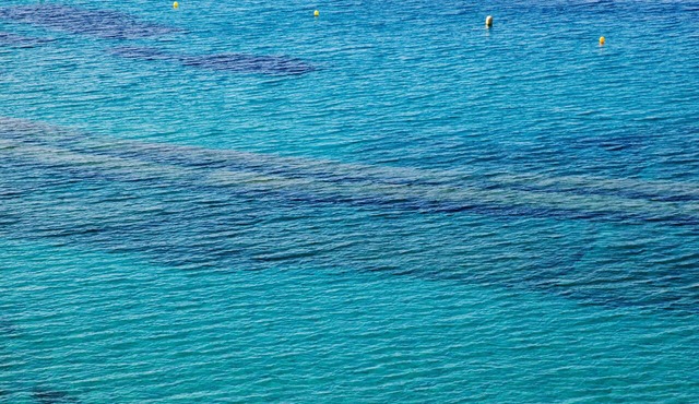 Le Bailli de Suffren in Rayol-Canadel-sur-Mer
