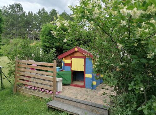 LE CHAMOIS DORT in Die