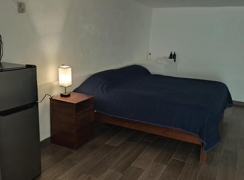 Loft Garden Santiago México