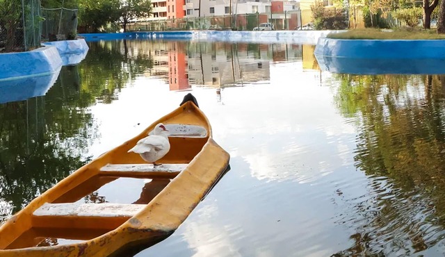 Lovely and spacious apartment next to the Park