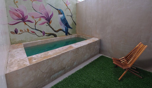 Luxury oasis with private swimming pool and yking bed