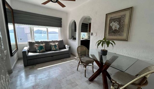 Manzanillo Ocean View Apartment - perfect for couples - pet friendly