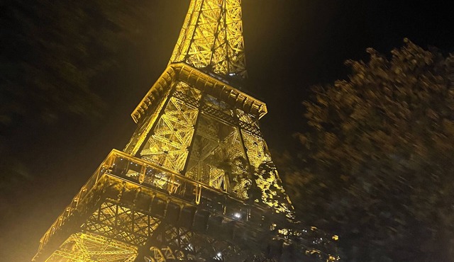 Marvelous 2-bedroom Trocadero apartment near Eiffel Tower in Paris for 6 People in Paris