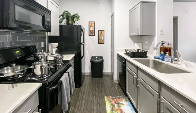 Medical Center Luxury Furnished & Equipped 2br 2ba (813)