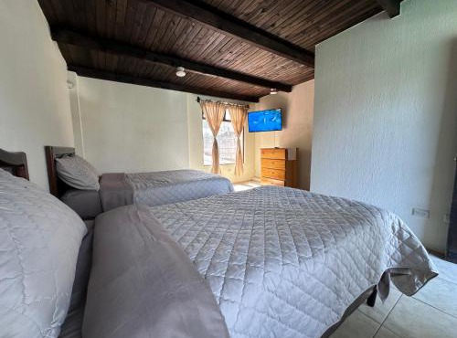 Mesura B&B