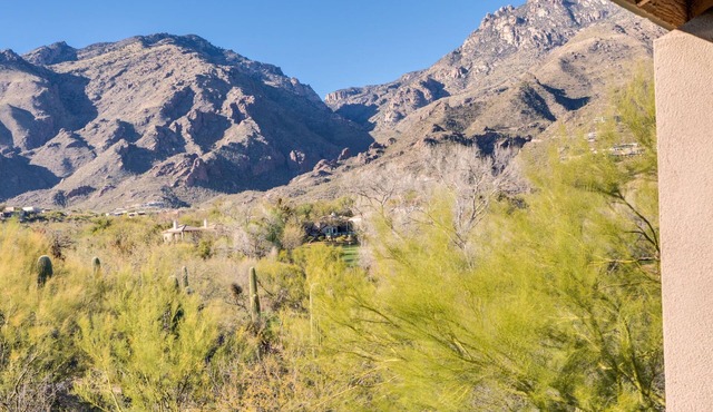 Mountain, Canyon & Golf Course Views from all Windows