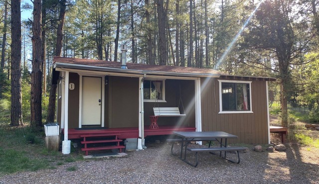 Newly updated bath! Indoor fireplace & Jacuzzi xtra room w kid cot; porch swing