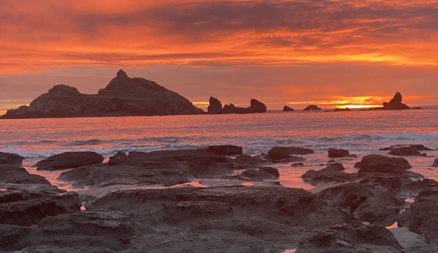 Oceanfront Retreat. Sunset Views. Whale Watching. Redwood Groves, 2 King Beds