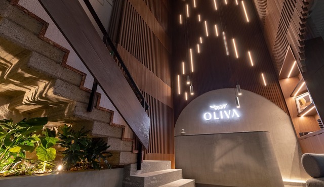 Oliva Plaza Hotel