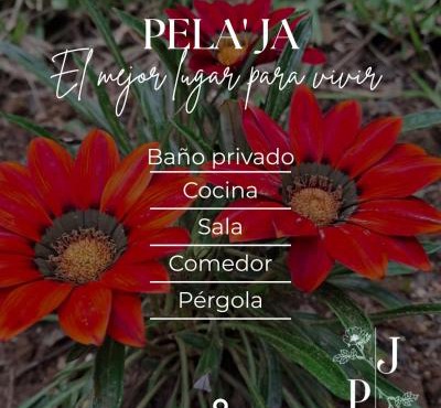 Pela' Ja'