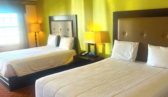 Pet-Friendly 2 Queens Room Near Paige Davidson Studio - Great Location - 3 Rooms