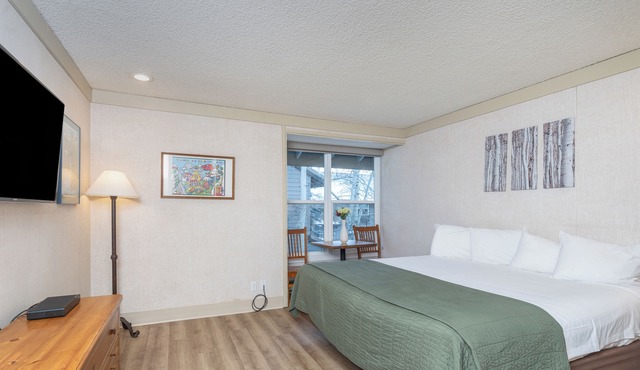 Pet-Friendly Kitchenette at the Mountainside Inn in Telluride