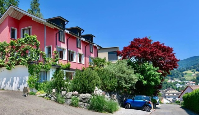 Pilgrims' flat with a clear view of the mountains in Wald ZH