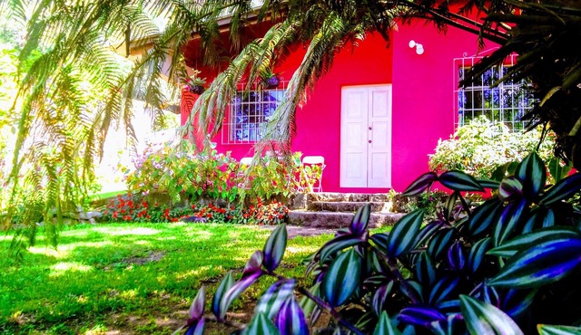 Pink house