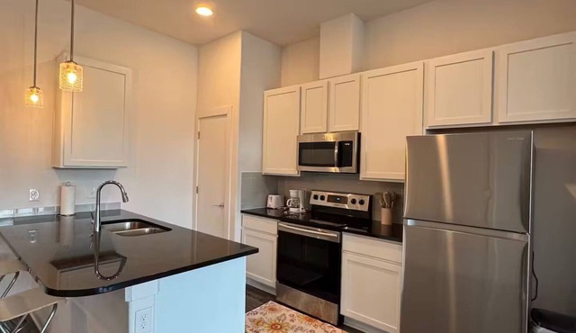 Pleasant apartment in Austin