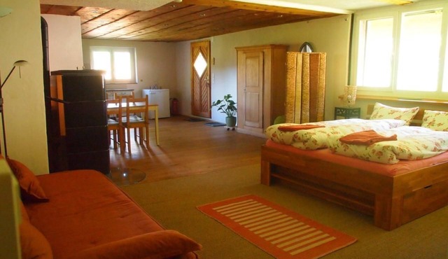Pretty 2-room flat in converted farmhouse in Champoz