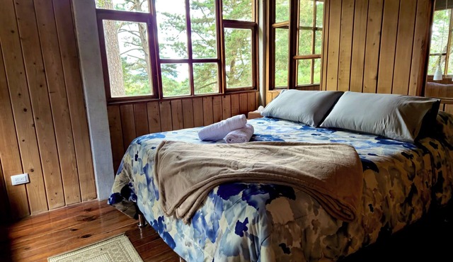 Private Cabin: Bonfire & Barbecue in the Forest