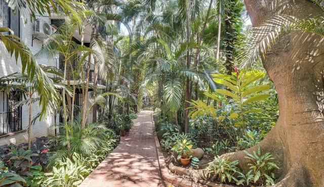 Puerto Vallarta Hideaway w/Balcony & Pool!