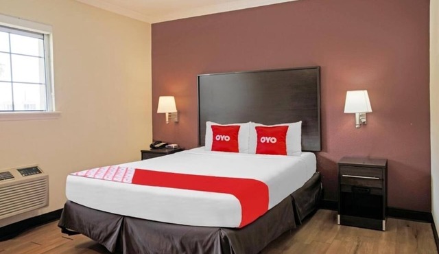 Relaxing Unit Near Quinta Mazatlan - Pets Welcome, Parking & Pool Include