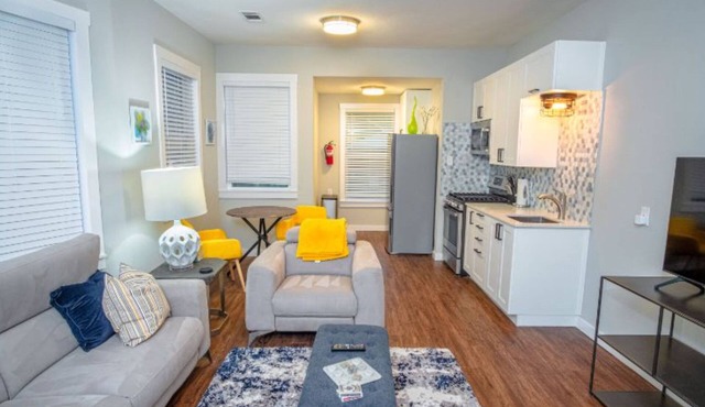 Remodeled Modern 1br/1ba Apt #1 Near Downtown