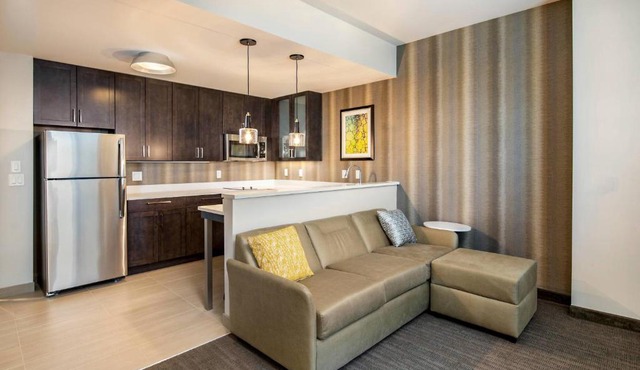 Residence Inn by Marriott Houston Medical Center/NRG Park