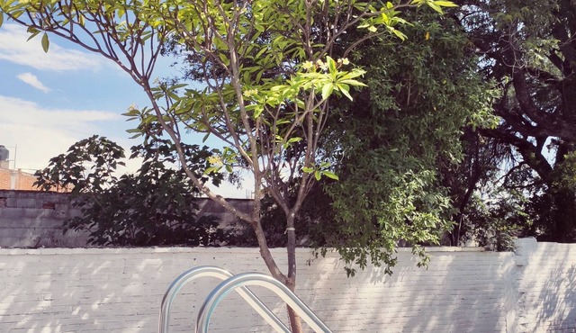 Resting house with pool! near the Media Luna Spring