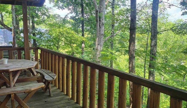 Riverview Cabins
