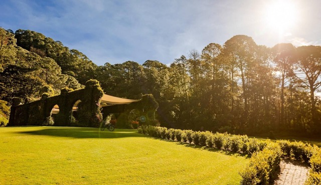Room in paradise between the sierra madre forest and Lake Juanacatlan.